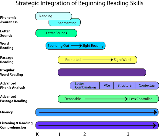 Graphical Model of Strategic Integration of Beginning Reading Skills